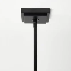 4-Arm Chandelier With Trim Shades Black - Threshold™ Designed With Studio McGee -Adesso Shop GUEST 0b777e6f 6c92 4224 8640 b8d1db7fe081