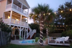 Novelty Lights Edison Outdoor String Lights With 25 Suspended Sockets White Wire 37.5 Feet 14 Novelty Lights Edison Outdoor String Lights With 25 Suspended Sockets White Wire 37.5 Feet -Adesso Shop GUEST 3f0dd666 c34b 4a93 9171 6339f96e75cf