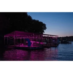 12ct Seasons Wi-Fi Classic Café Outdoor String Lights - Black Wire - Enbrighten -Adesso Shop GUEST 40a944b3 168f 4db9 8911 5ee3e8c13c0e