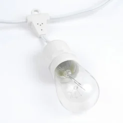 Novelty Lights Edison Outdoor String Lights With 25 Suspended Sockets White Wire 37.5 Feet 12 Novelty Lights Edison Outdoor String Lights With 25 Suspended Sockets White Wire 37.5 Feet -Adesso Shop GUEST 4a2af829 0bcc 4f9f 9f65 d1a1d84ddc4f