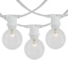 Novelty Lights Globe Outdoor String Lights With 25 In-Line Sockets White Wire 25 Feet