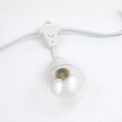 Novelty Lights Globe Outdoor String Lights With 100 Suspended Sockets Suspended White Wire 100 Feet 5 Novelty Lights Globe Outdoor String Lights With 100 Suspended Sockets Suspended White Wire 100 Feet - Image 3