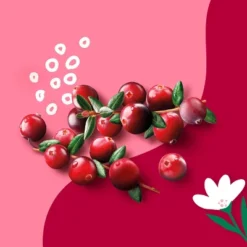 Beloved Cranberry And Orange Flower 2-Wick Candle - 11.5oz -Adesso Shop GUEST 99eebd23 fe08 4f3b aaff 40b7cd6d0366