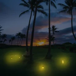 Solar LED Portable Hanging Outdoor Lantern Black - Techko Maid -Adesso Shop GUEST b8c33401 99ad 443a b7f8 020205076150