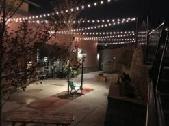 Novelty Lights Clear G40 Globe Hanging Outdoor String Light Replacement Bulbs E12 Candelabra Base 5 Watt -Adesso Shop GUEST c354476d 15e3 4868 a991 02522479cb0b