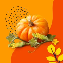 Beloved Pumpkin And Tonka 2-Wick Candle - 11.5oz -Adesso Shop GUEST d6cff623 04c1 43bc 8ec9 185a6437537f